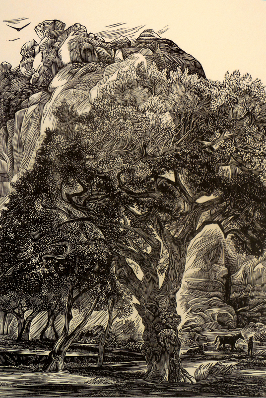 Siri Beckman - "Old Cottonwood"